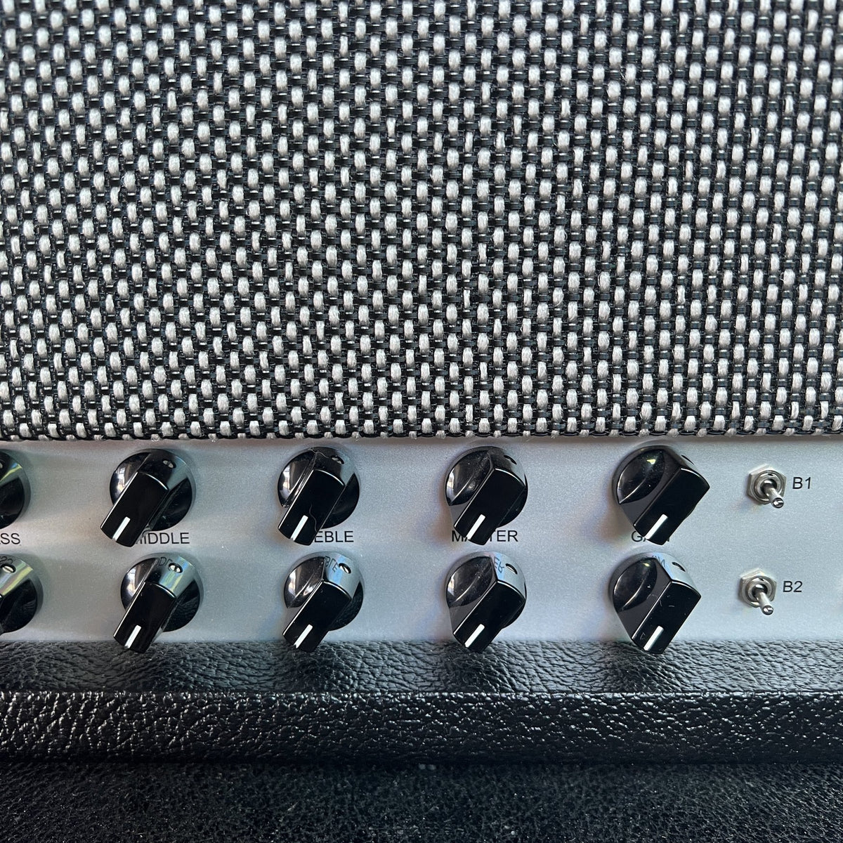 Friedman Twin Sister 40-Watt Dual-Channel Head