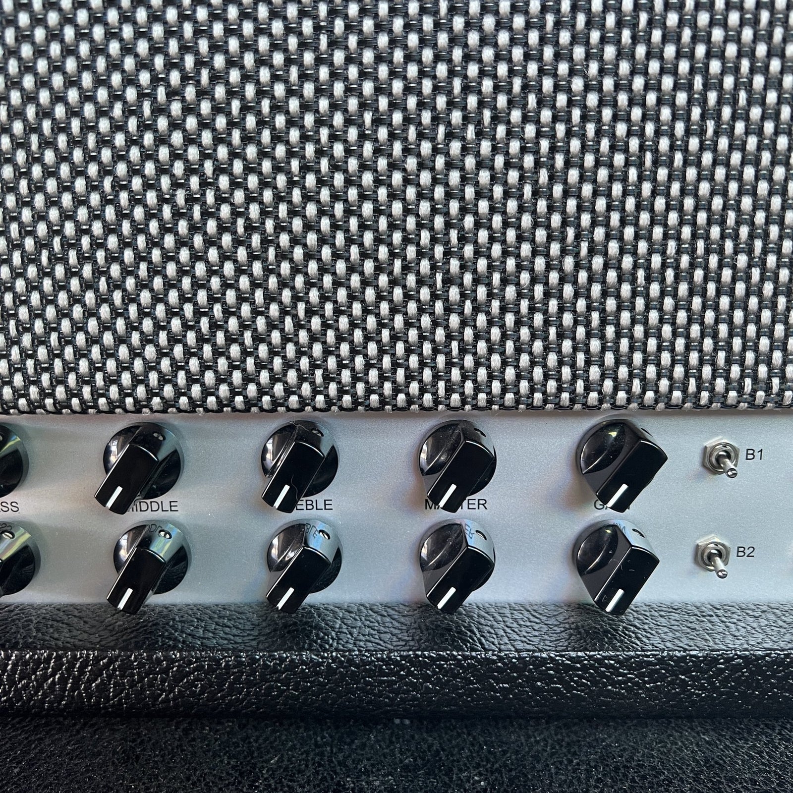 Friedman Twin Sister 40-Watt Dual-Channel Head