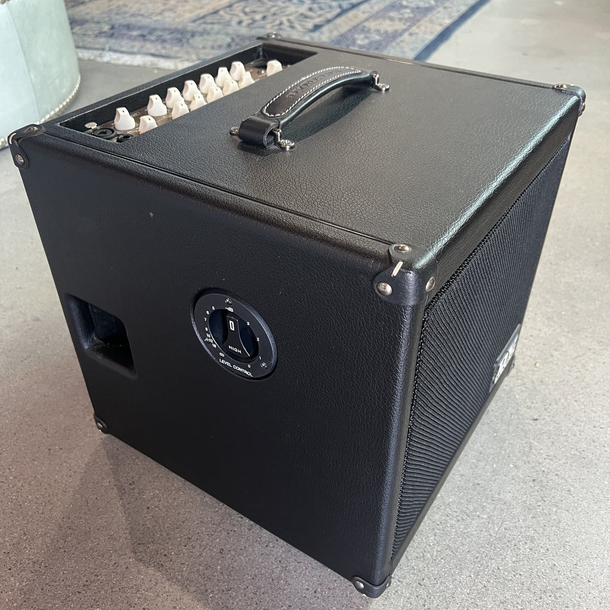 DV Mark AC 101 Acoustic Combo Amplifier (Black) - Excellent Condition