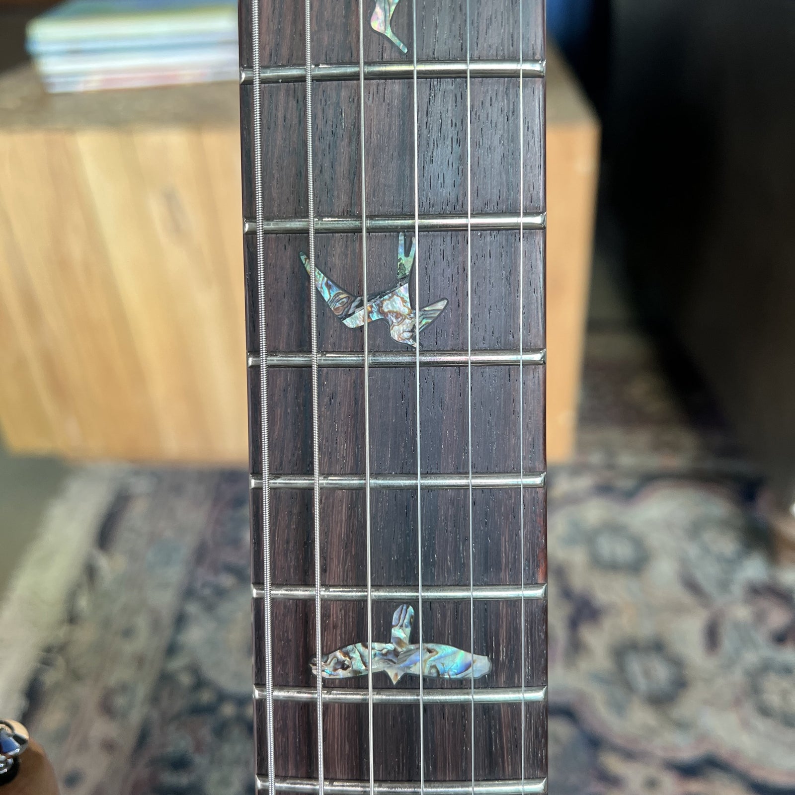 2024 PRS SE Paul's Guitar: Premium Tone with TCI "S" Pickups & Brass Stoptail