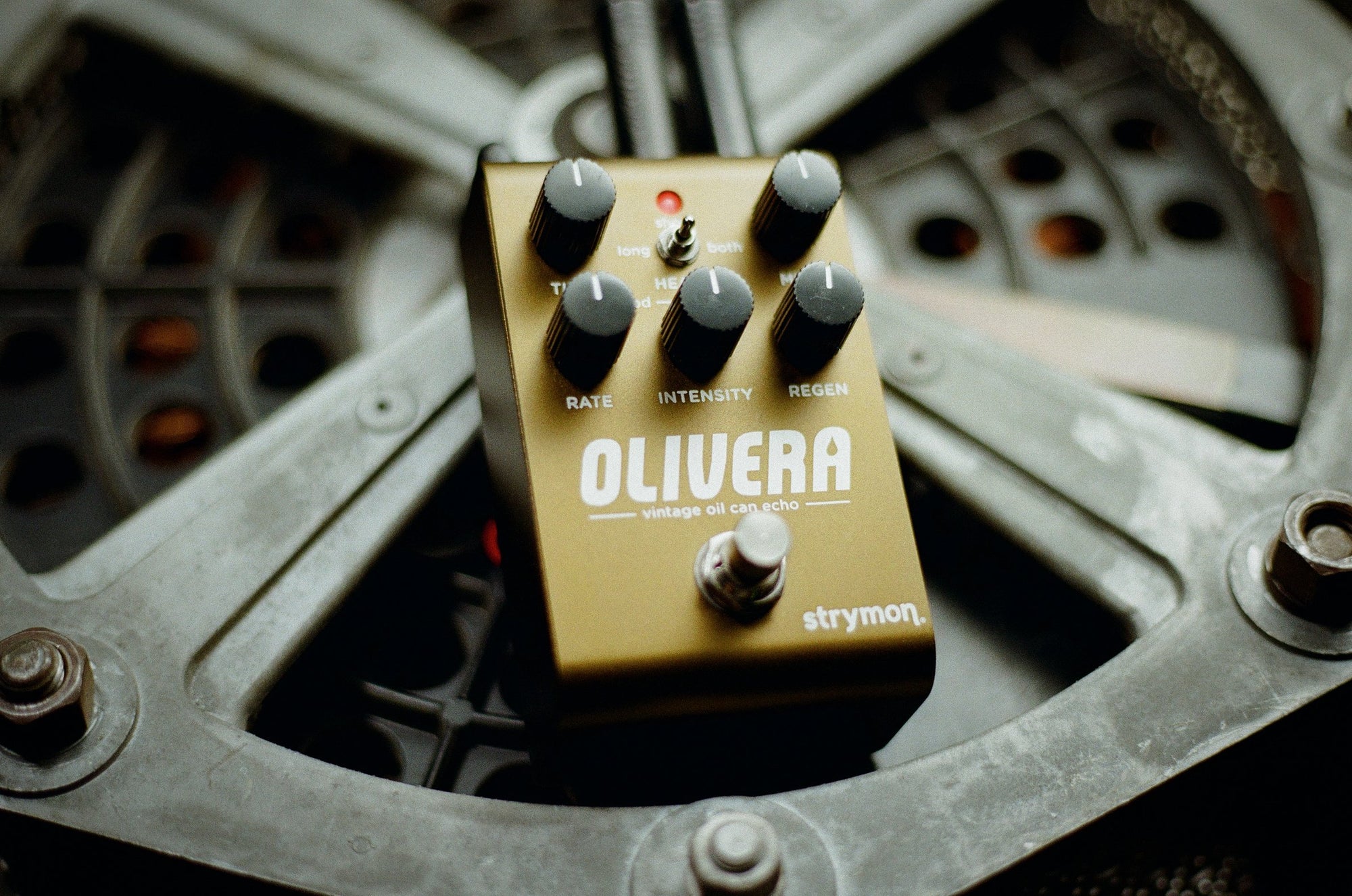 Strymon Olivera