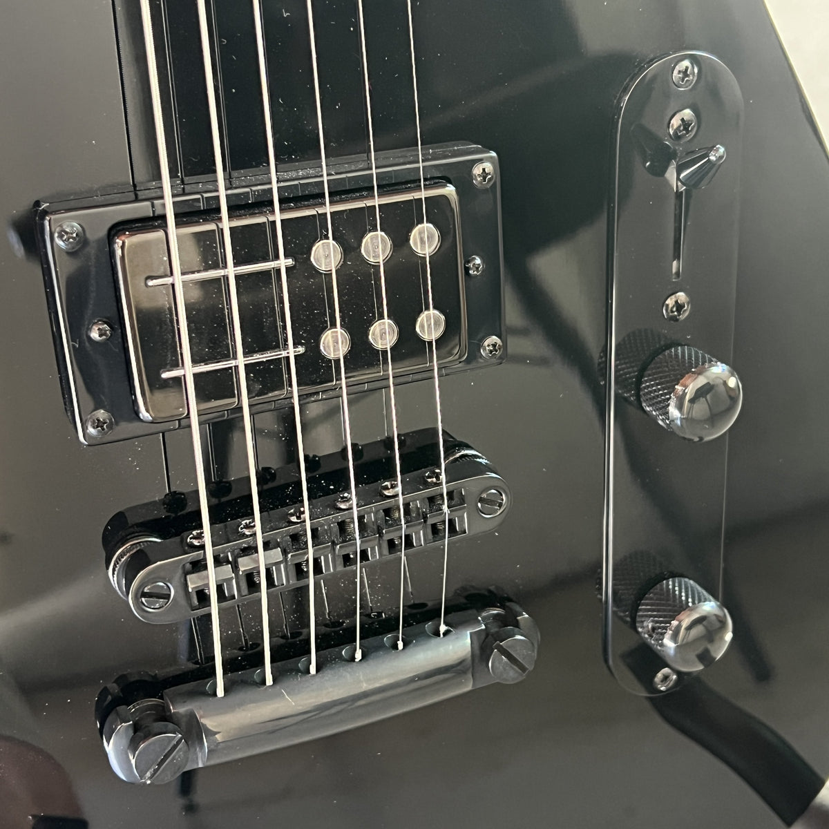 2025 Reverend Charger RA Blackout Edition