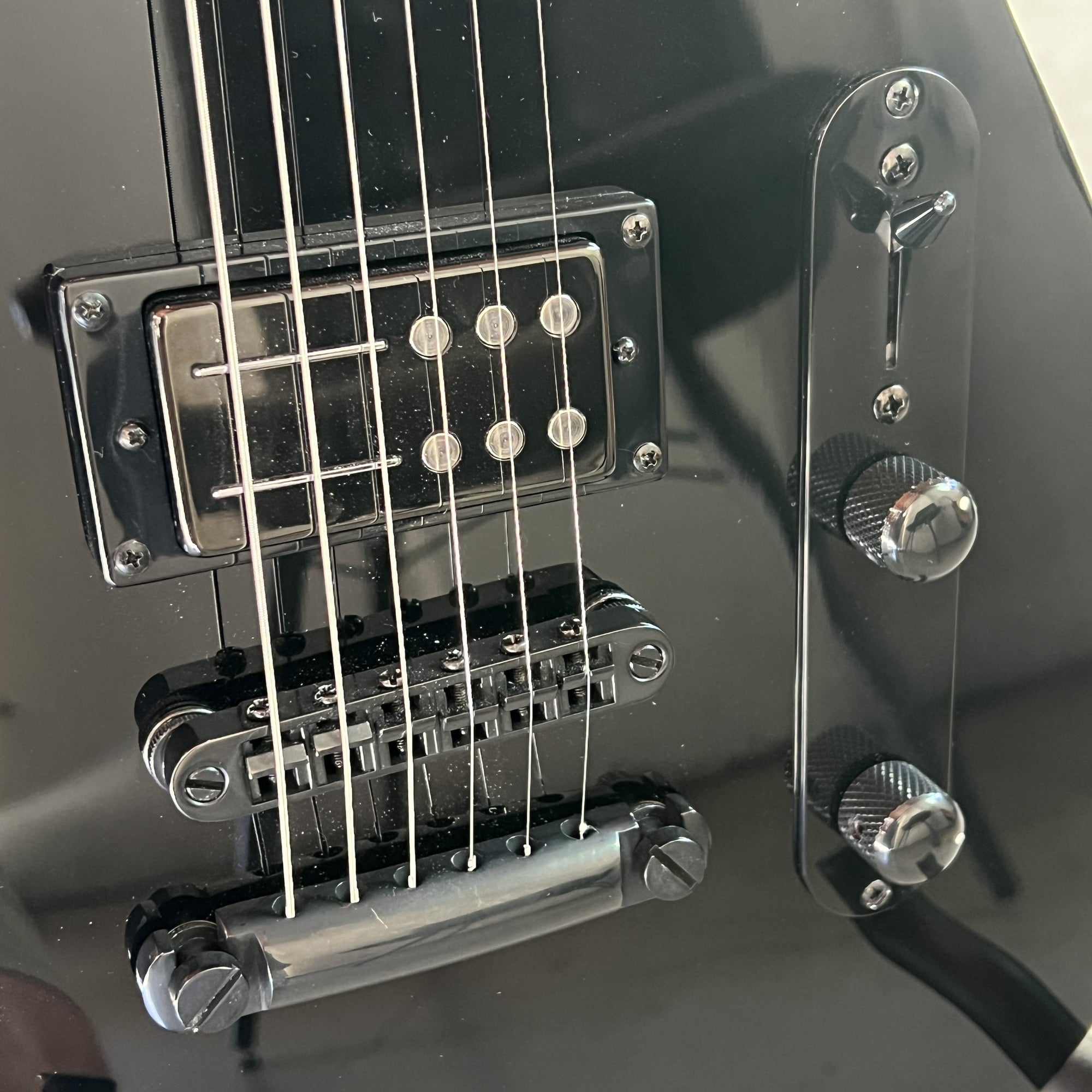 2025 Reverend Charger RA Blackout Edition