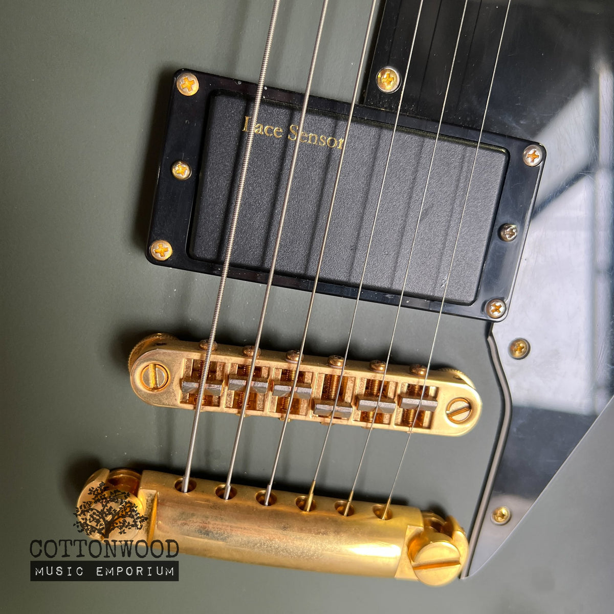 ESP LTD Sparrowhawk Bill Kelliher Signature - Silverburst