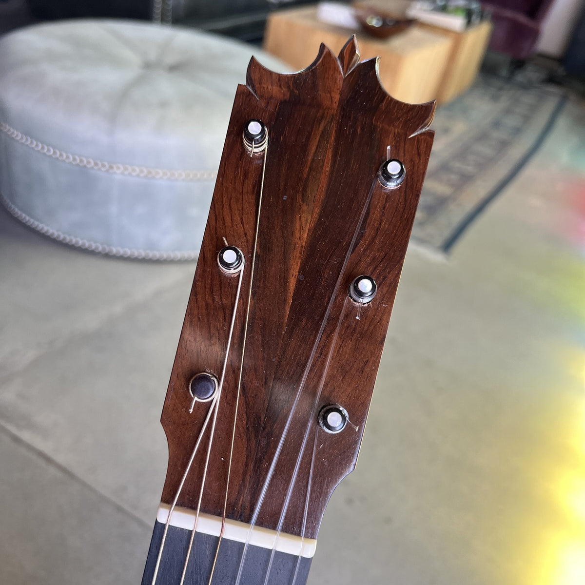 Salvador Castillo Spruce Standard