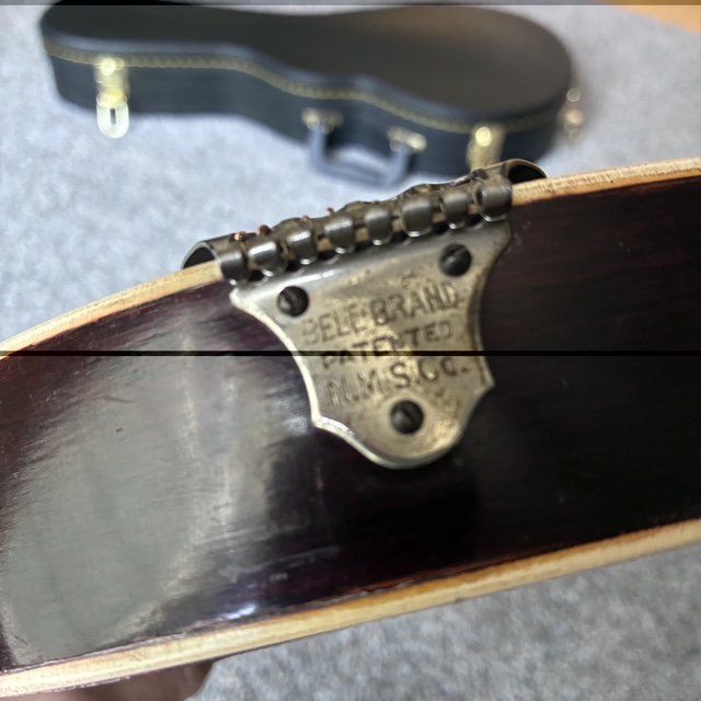 Vintage 1920’s Regal Acoustic Mandolin & Case Reverse Scroll