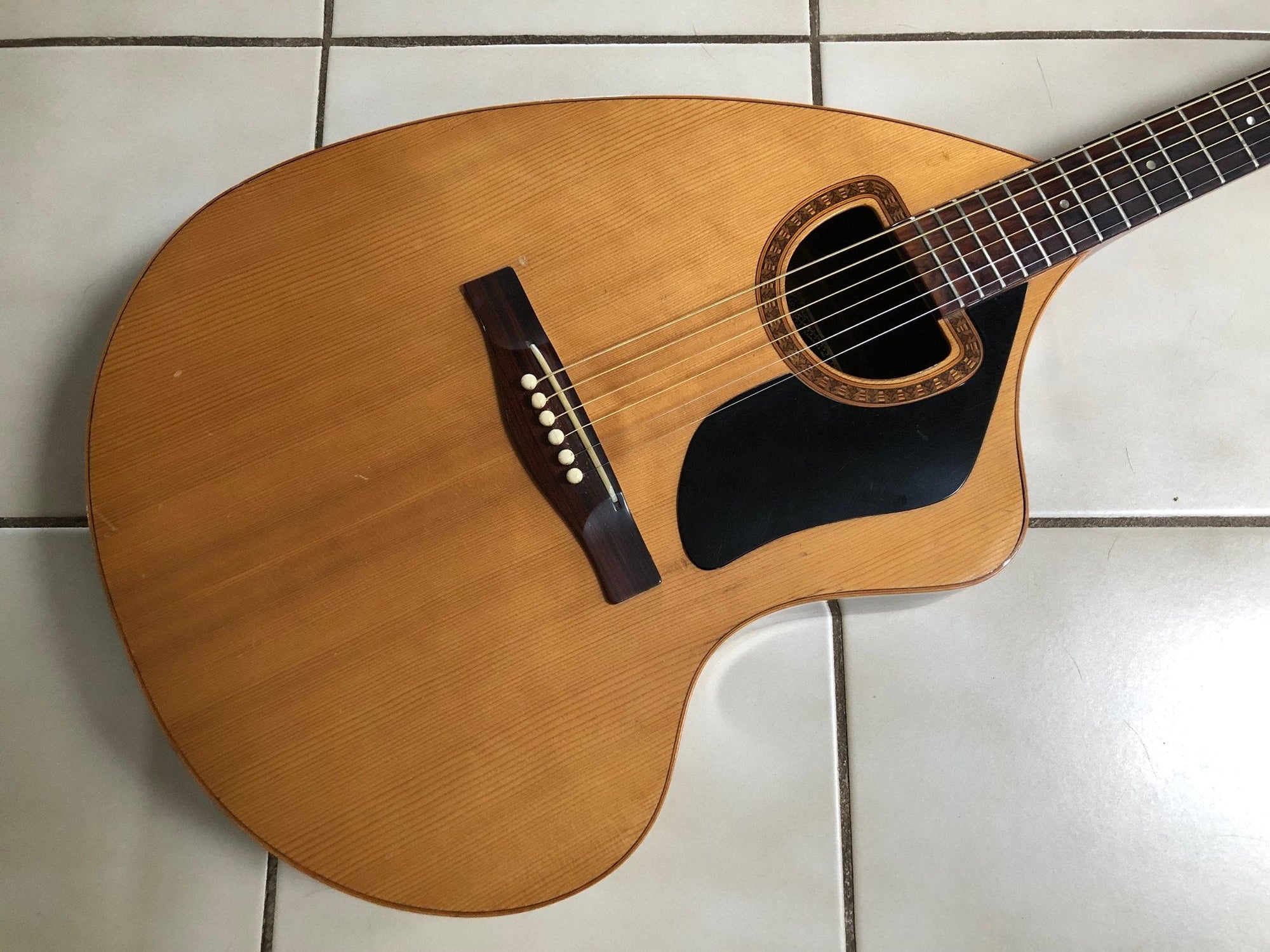 Vintage 1970’s Giannini Craviola Acoustic Guitar w/Case