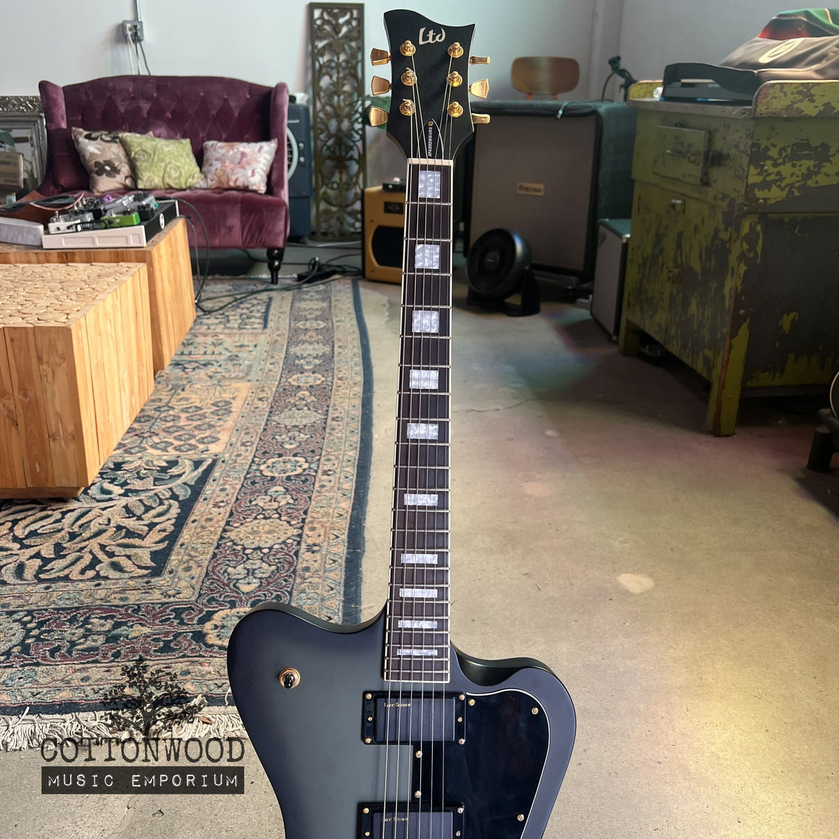 ESP LTD Sparrowhawk Bill Kelliher Signature - Silverburst