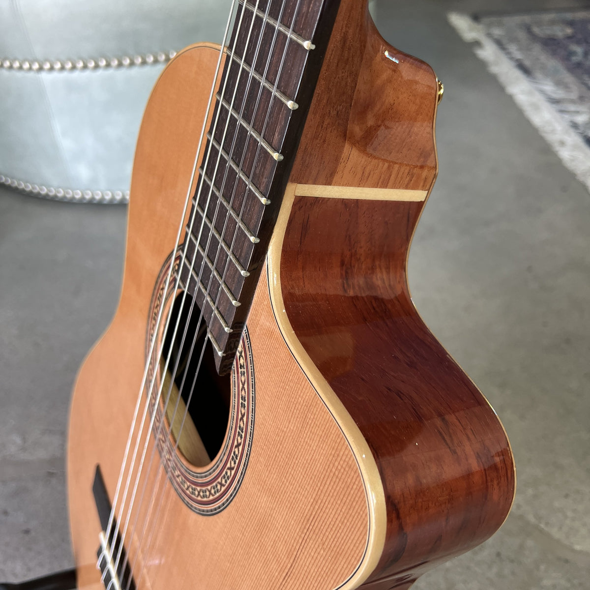 Ortega Guitars RCE180GT Thinline