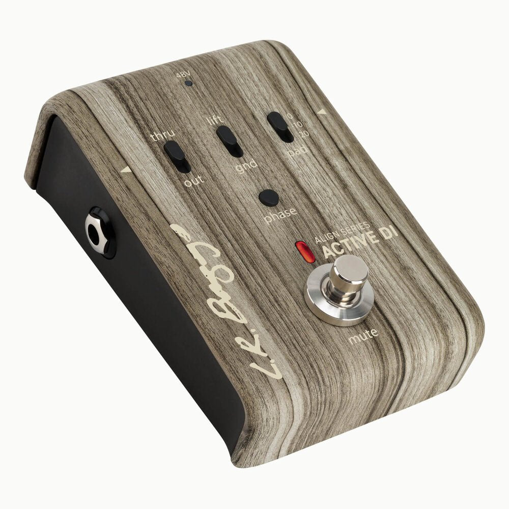 L.R. Baggs Align Series Active DI