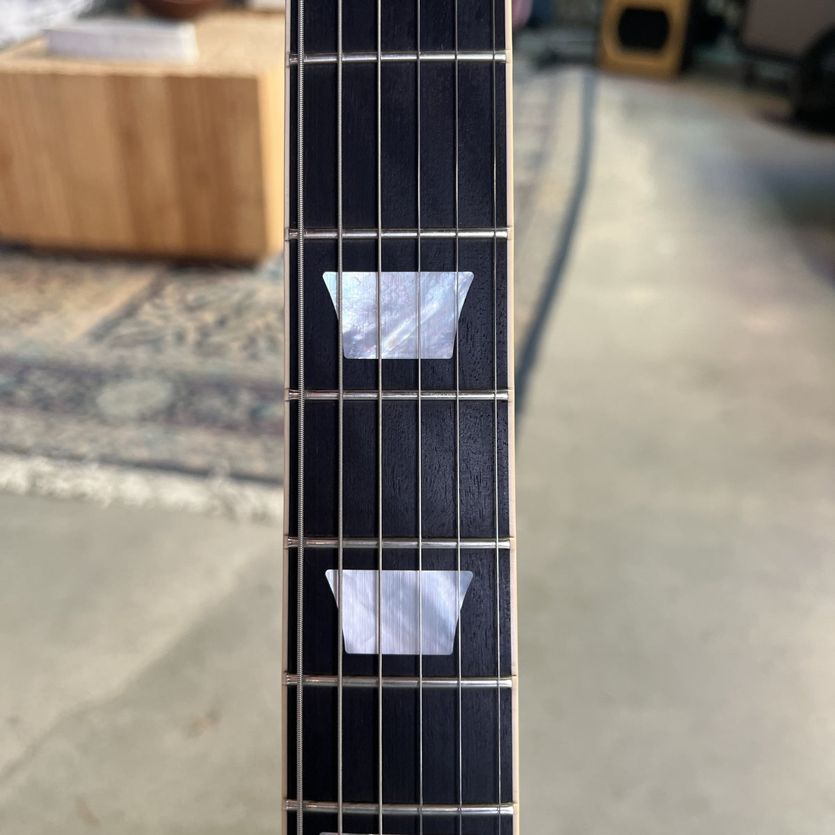 Gibson Les Paul Standard Adam Jones - Silver Burst