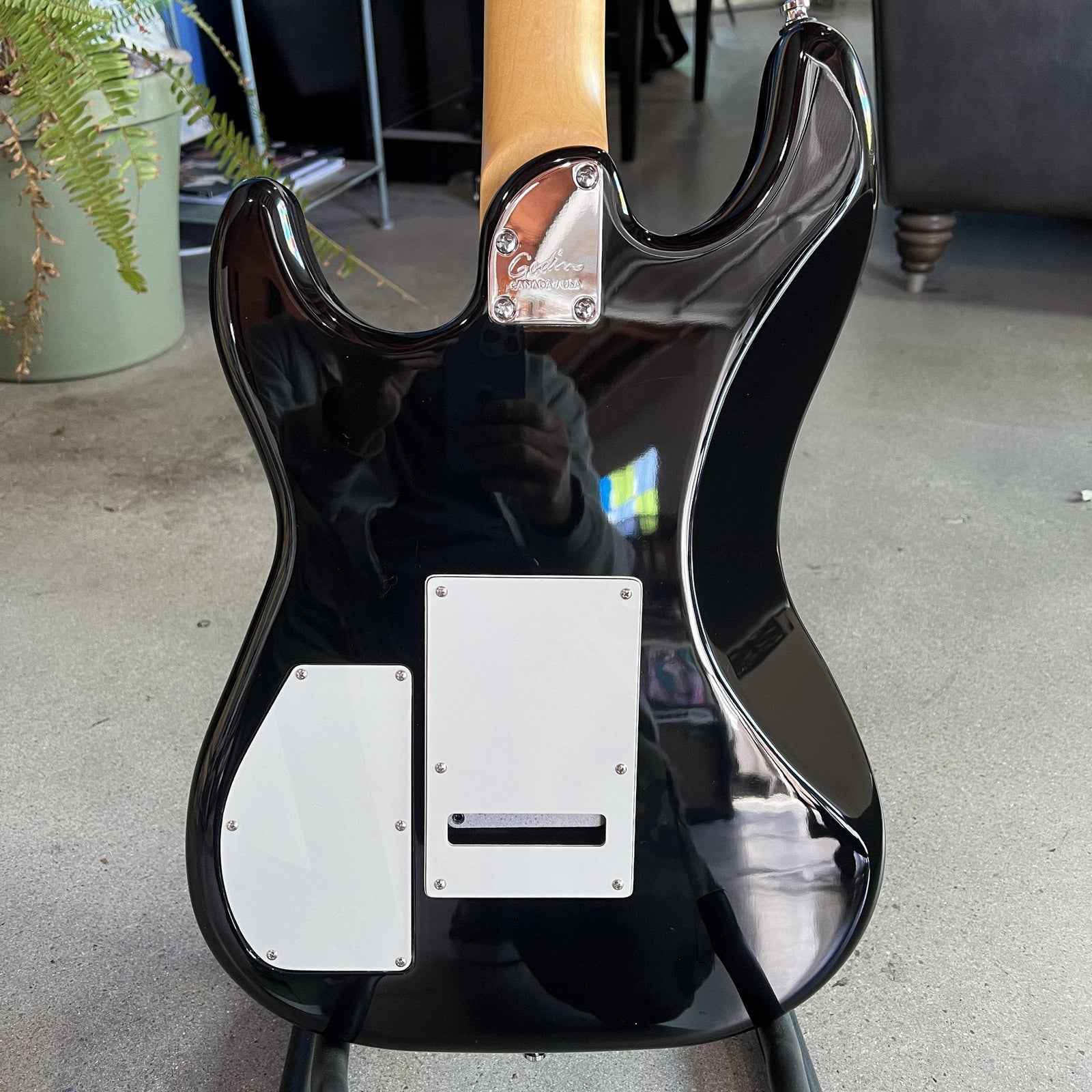 2019 Godin Session LTD - Black