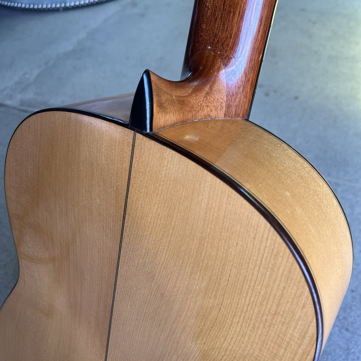 Salvador Castillo Spruce Standard