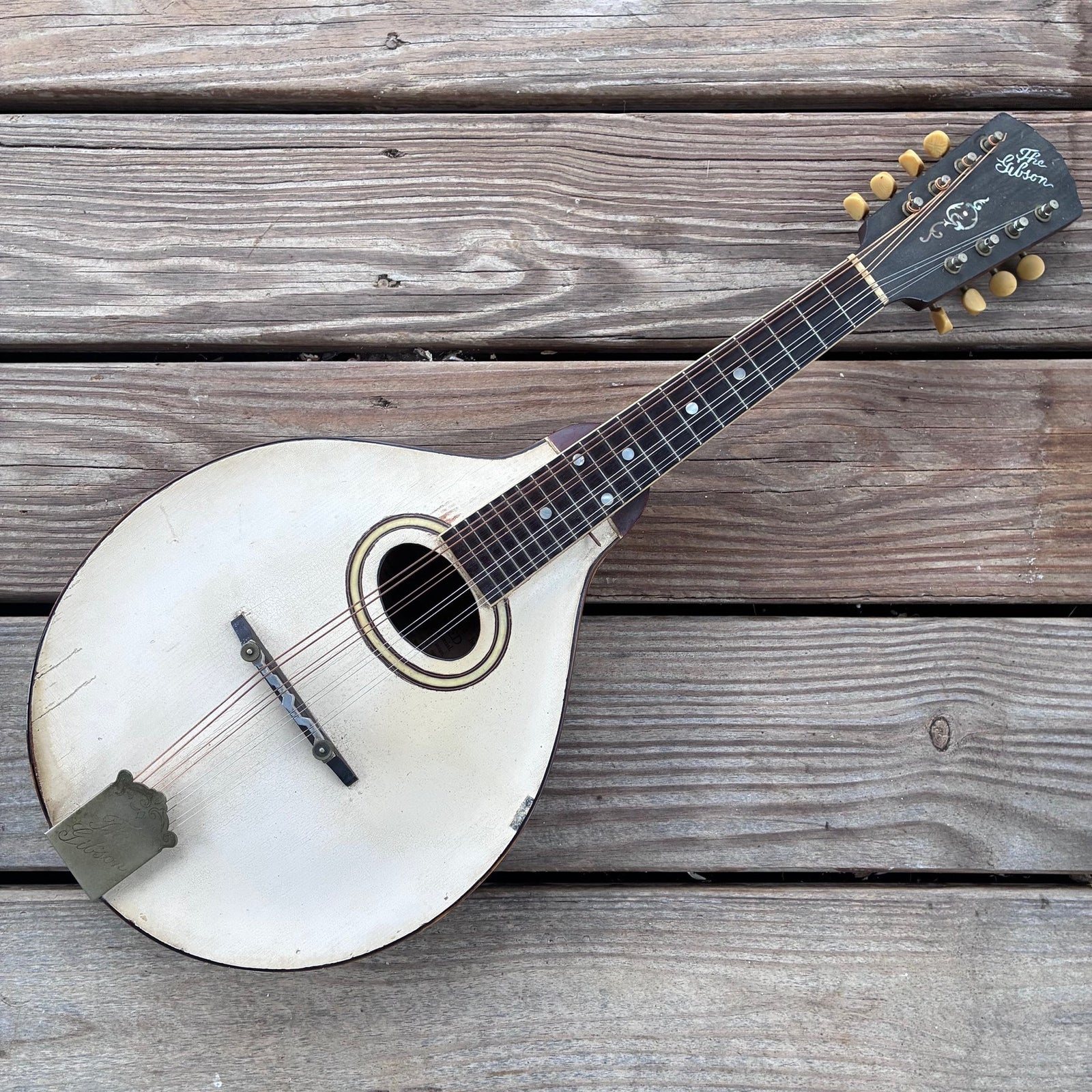 Vintage 1921 Gibson A-3 White Top Mandolin