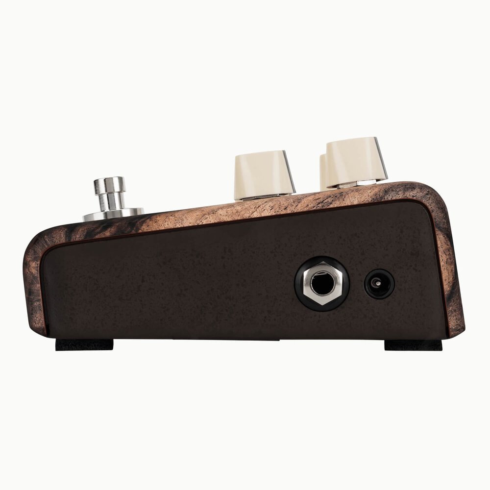 L.R. Baggs Align Series Chorus