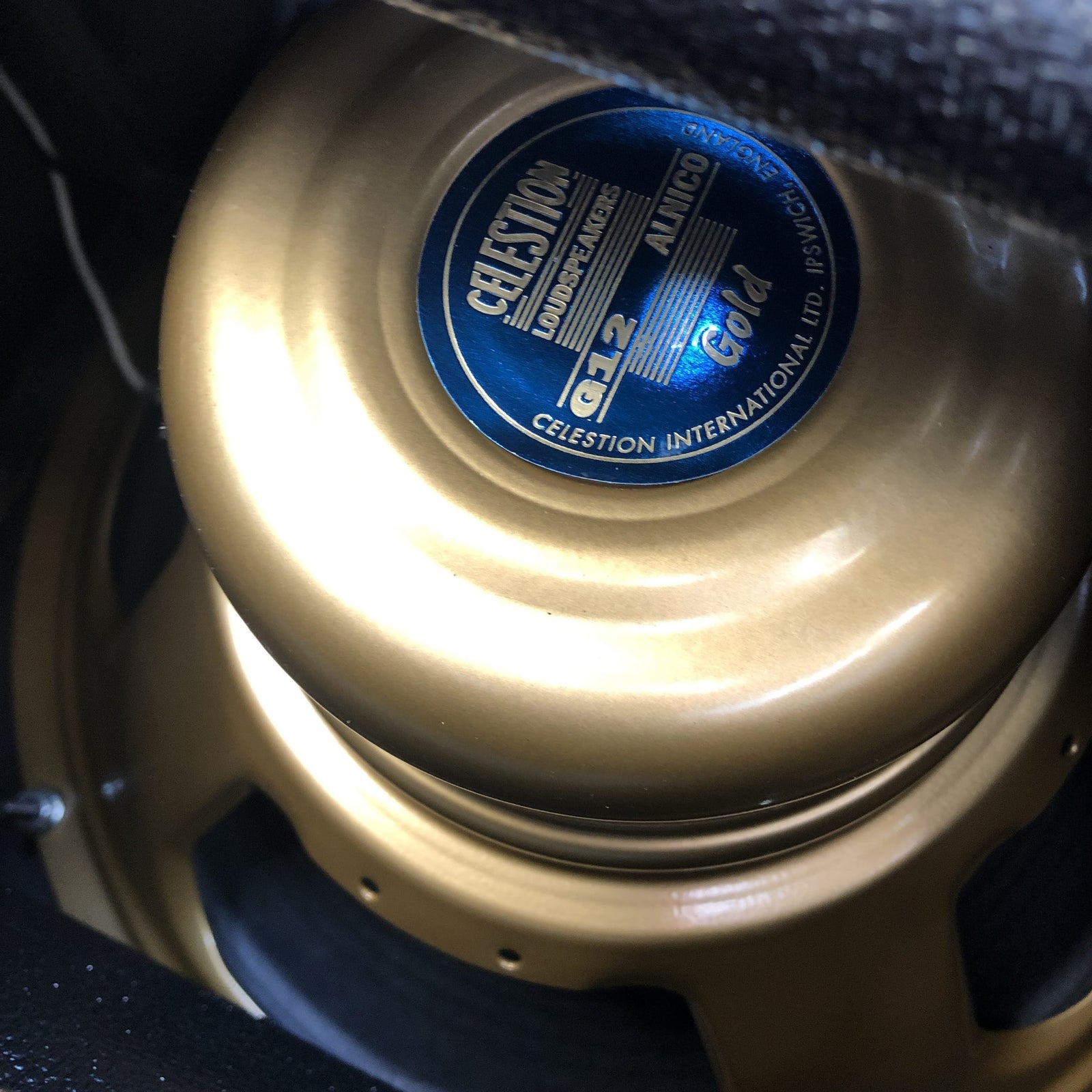 Swart Amplifier Atomic Space Tone (AST) Pro - Celestion Alnico Gold