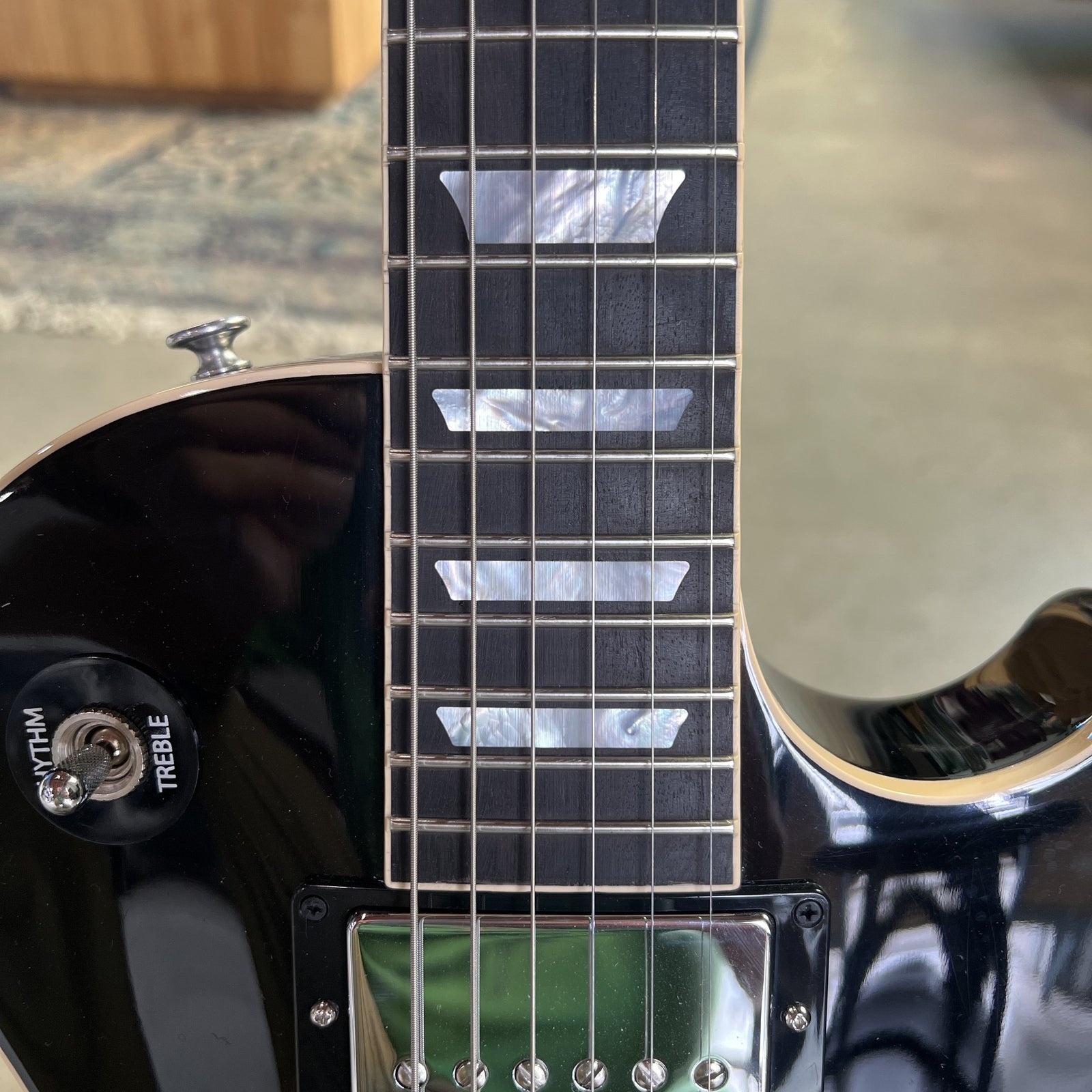 Gibson Les Paul Standard Adam Jones - Silver Burst
