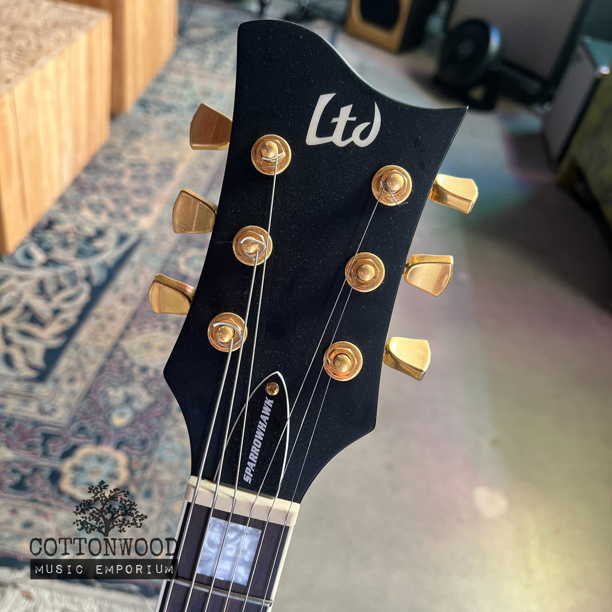 ESP LTD Sparrowhawk Bill Kelliher Signature - Silverburst