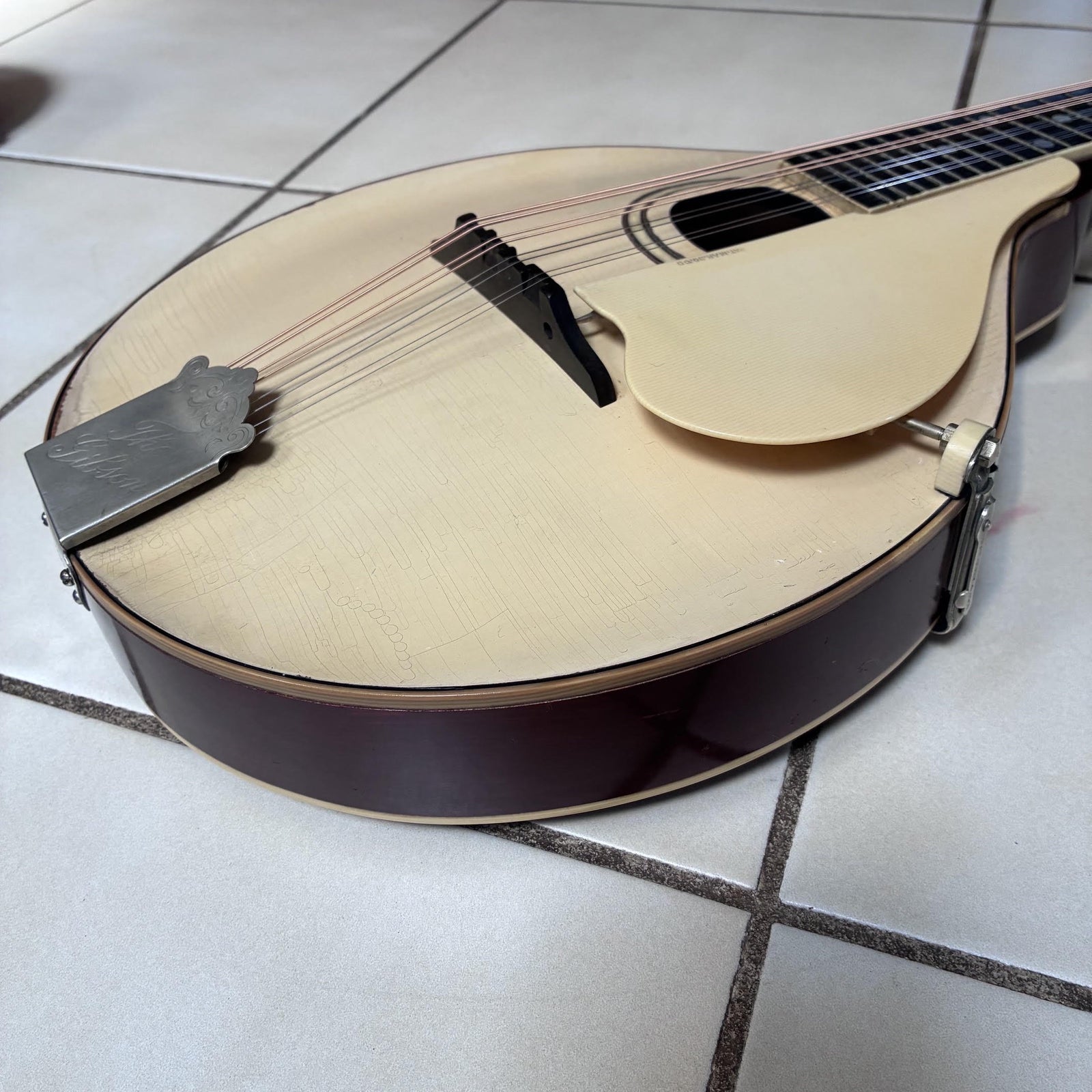 Vintage 1920 Gibson A-3 White Top Mandolin & Case