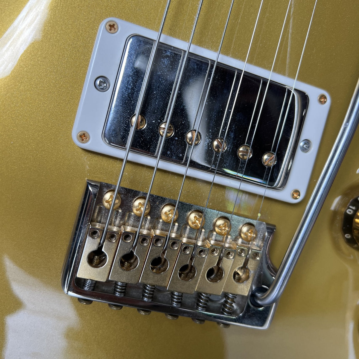 PRS Wood Library DGT Goldtop Brazilian Rosewood