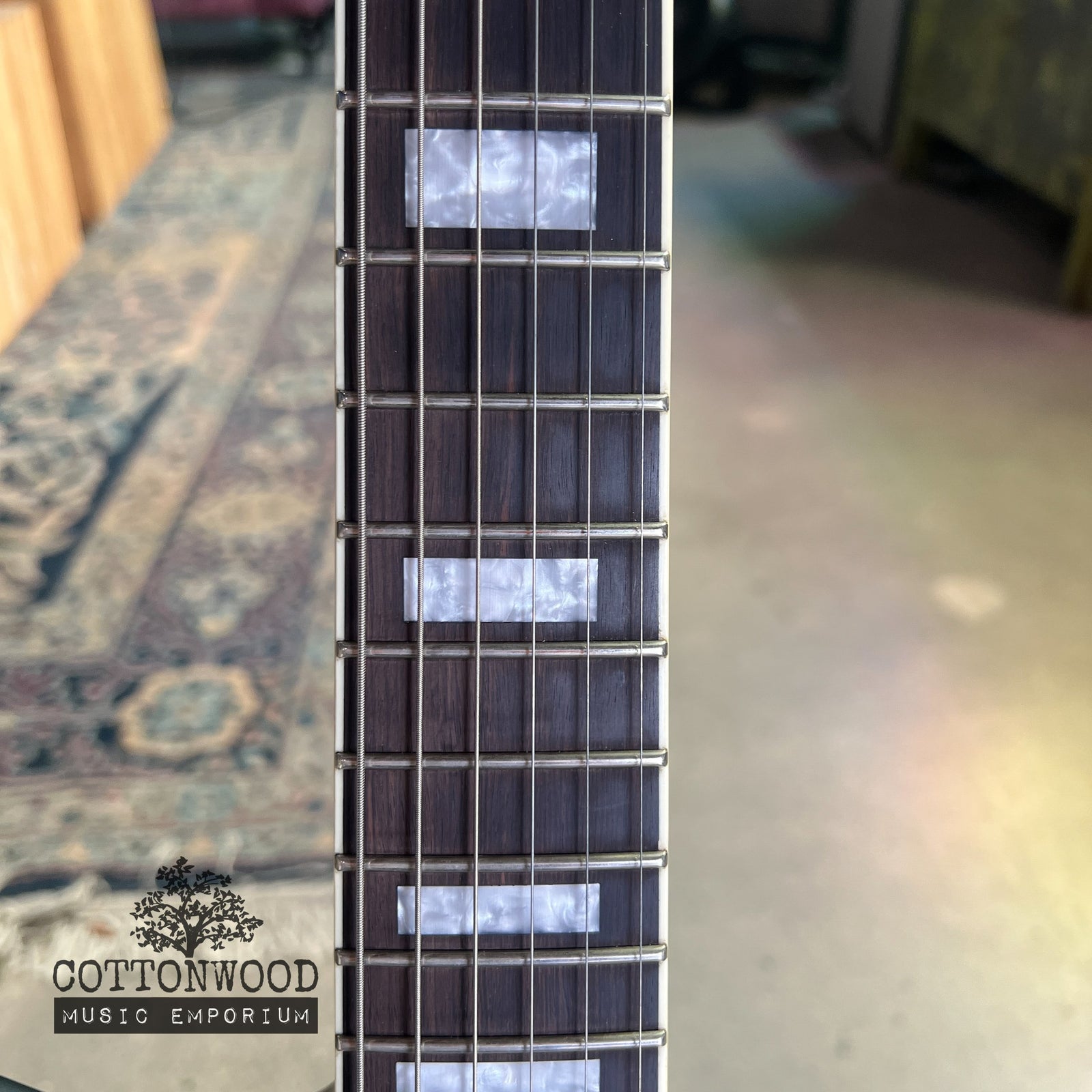 ESP LTD Sparrowhawk Bill Kelliher Signature - Silverburst