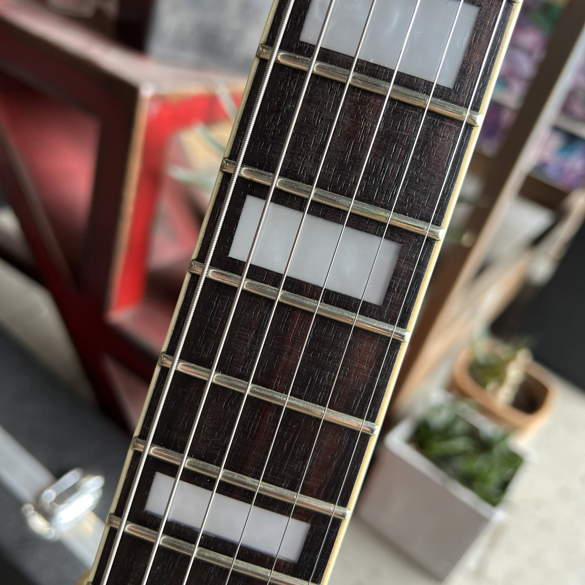 Airline 50th Anniversary '59 Custom 2P