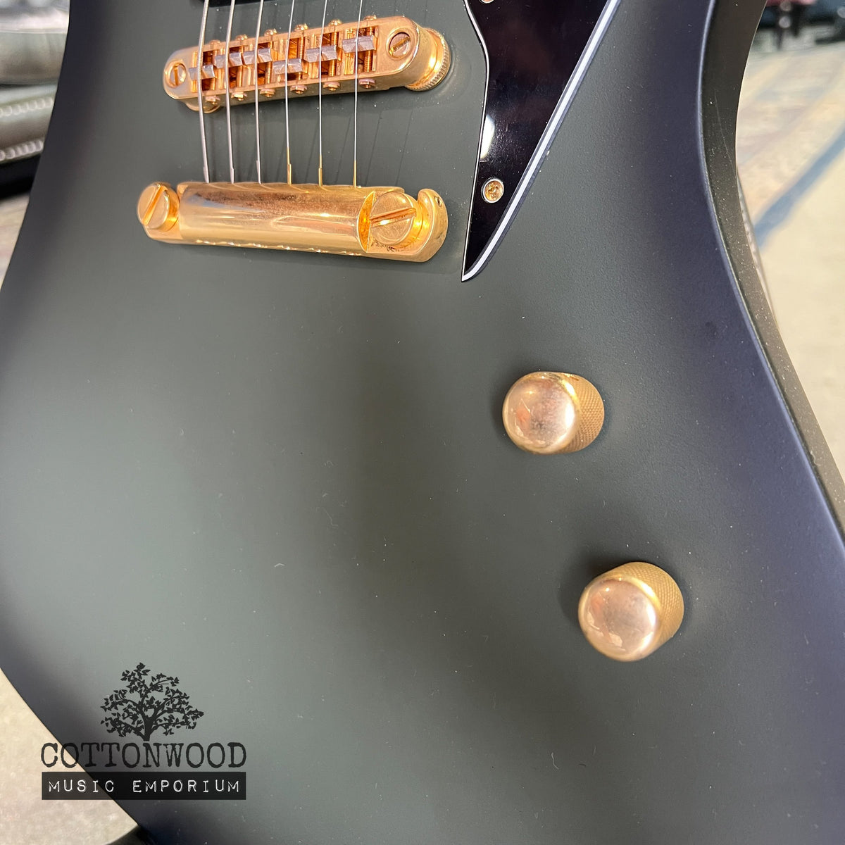 ESP LTD Sparrowhawk Bill Kelliher Signature - Silverburst