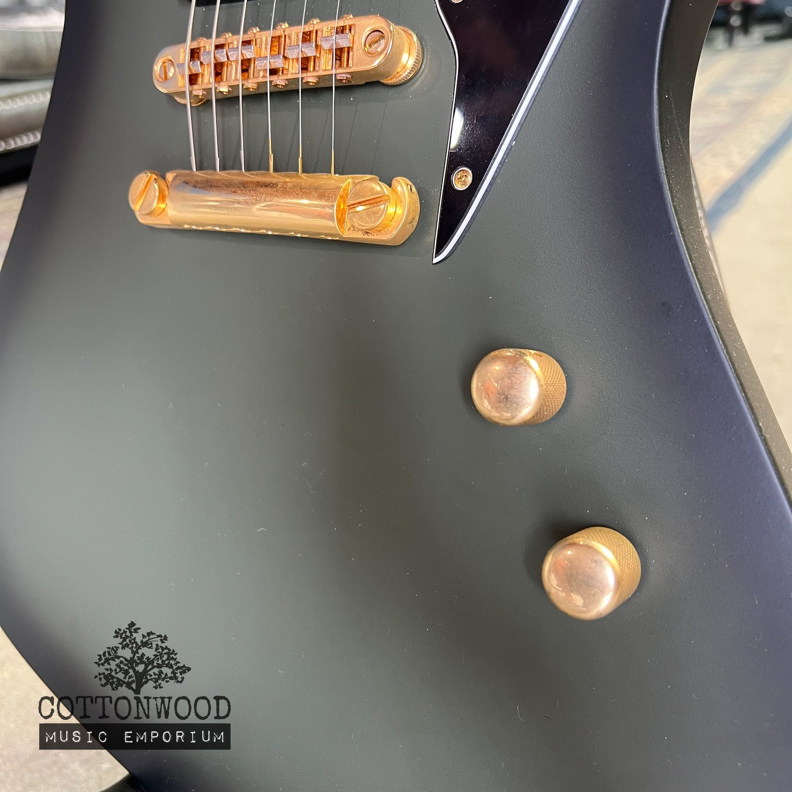 ESP LTD Sparrowhawk Bill Kelliher Signature - Silverburst