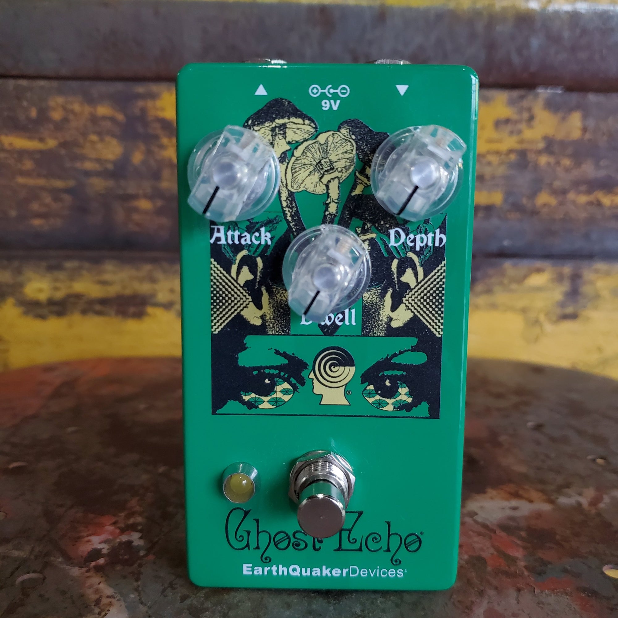 EarthQuaker Devices Ghost Echo - Brain Dead Limited Edition